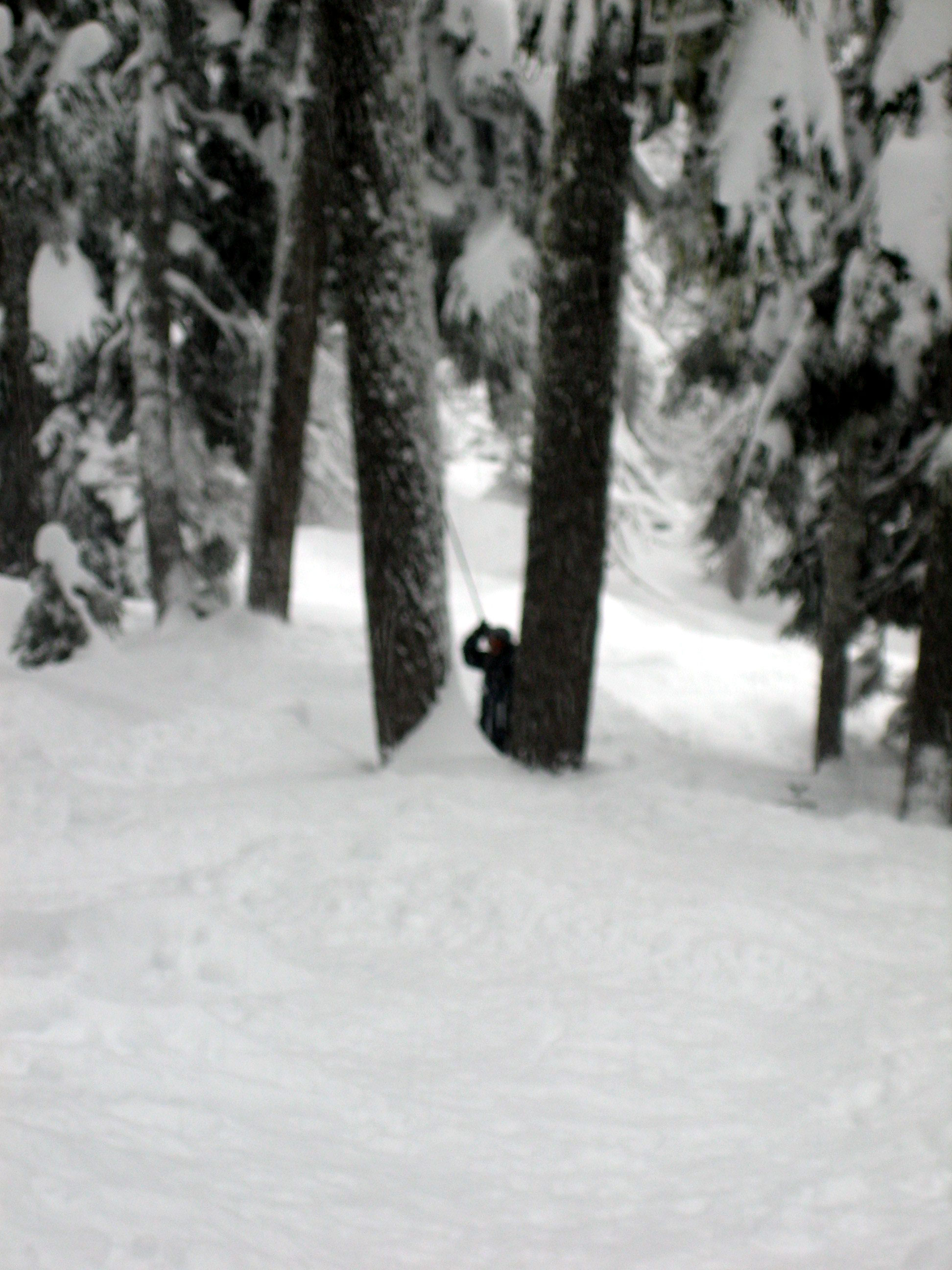 20080106_7115