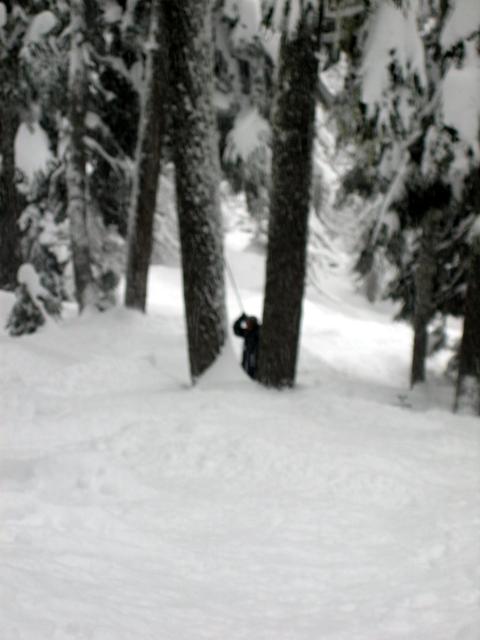 20080106_7115