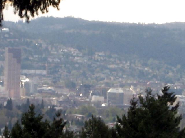 20060408_0064
