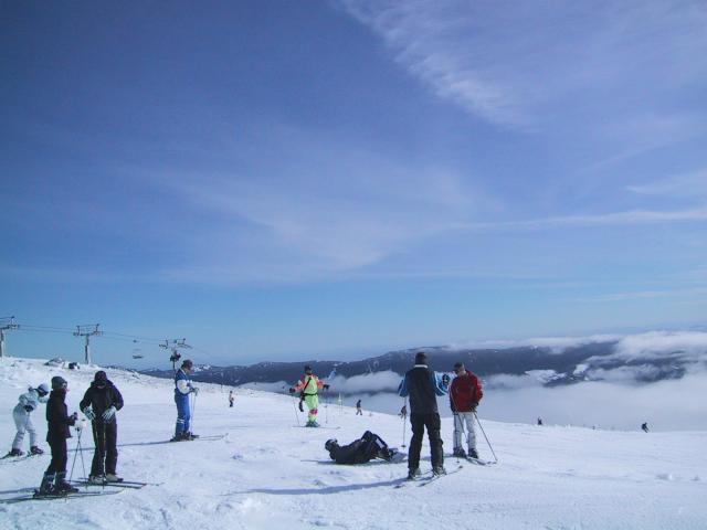 20060205_3442