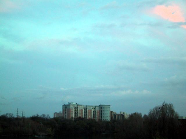 20060316_3746
