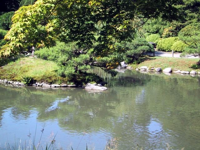 20050629_2275